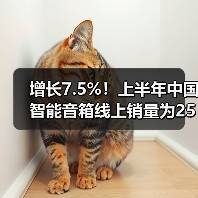 增长7.5%!上半年中国智能音箱线上销量为255.1万台(图2) 增长7.5%!上半年中国智能音箱线上销量为255.1万台(图2)