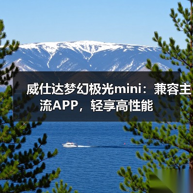 威仕达梦幻极光mini:兼容主流APP,轻享高性能(图3) 威仕达梦幻极光mini:兼容主流APP,轻享高性能(图3)