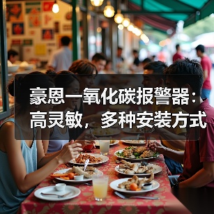 豪恩一氧化碳报警器：高灵敏，多种安装方式可选（图2）