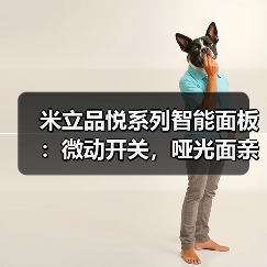 米立品悦系列智能面板：微动开关，哑光面亲肤涂层（图3）