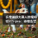 乐橙猫眼大屏人脸视频锁V7i-pro:徘徊告警,录像回放(图4) 乐橙猫眼大屏人脸视频锁V7i-pro:徘徊告警,录像回放(图4)