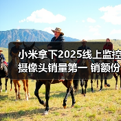 小米拿下2025线上监控摄像头销量第一 销额份额16.8%（图2）