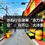 冰箱行业迎来“冻力革命”:容声以“大冰象”破局中国家庭存储困境(图2) 冰箱行业迎来“冻力革命”:容声以“大冰象”破局中国家庭存储困境(图2)