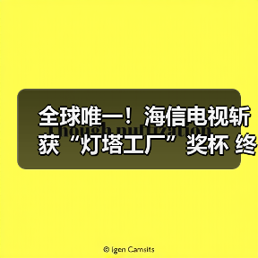 全球唯一！海信电视斩获“灯塔工厂”奖杯 终结行业空白（图2）