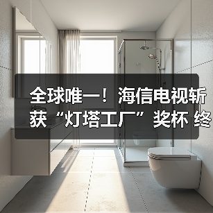 全球唯一！海信电视斩获“灯塔工厂”奖杯 终结行业空白（图1）