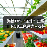 海信E8S“王炸”出场！RGB三色背光+双芯，正式终结单色量子点Mini LED时代（图1）