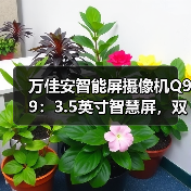 万佳安智能屏摄像机Q99：3.5英寸智慧屏，双向视频聊天（图3）