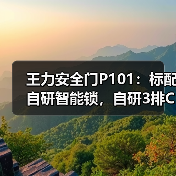王力安全门P101：标配自研智能锁，自研3排C级锁芯（图3）