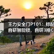 王力安全门P101：标配自研智能锁，自研3排C级锁芯（图2）