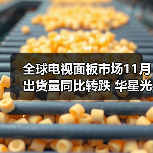 全球电视面板市场11月出货量同比转跌 华星光电大涨(图4) 全球电视面板市场11月出货量同比转跌 华星光电大涨(图4)