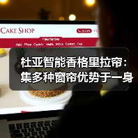 杜亚智能香格里拉帘：集多种窗帘优势于一身（图3）