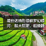 威仕达齿形带款梦幻银河:超大扭矩,超级静音(图4) 威仕达齿形带款梦幻银河:超大扭矩,超级静音(图4)