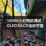 18000小时残酷测试：OLED与LCD谁的可靠性更强？（图2）