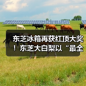 东芝冰箱再获红顶大奖！东芝大白梨以“最全能”实力重塑高端冰箱价值标杆（图3）