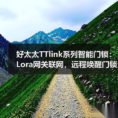好太太TTlink系列智能门锁：Lora网关联网，远程唤醒门锁更省电（图4）