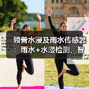 领普水浸及雨水传感器:雨水+水浸检测,智能场景更丰富(图1) 领普水浸及雨水传感器:雨水+水浸检测,智能场景更丰富(图1)
