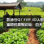 凯迪仕Q7 FVP 3D人脸猫眼视屏智能锁:白天黑夜都能精准识别(图4) 凯迪仕Q7 FVP 3D人脸猫眼视屏智能锁:白天黑夜都能精准识别(图4)