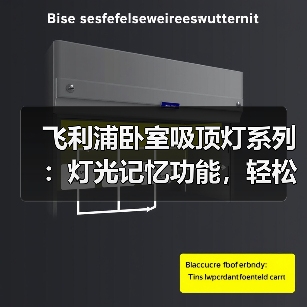 飞利浦卧室吸顶灯系列：灯光记忆功能，轻松配搭各种装饰风格（图4）