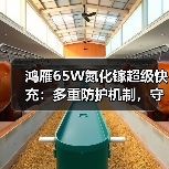鸿雁65W氮化镓超级快充:多重防护机制,守护安全(图3) 鸿雁65W氮化镓超级快充:多重防护机制,守护安全(图3)