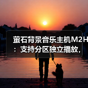 萤石背景音乐主机M2H:支持分区独立播放,多种控制方式(图3) 萤石背景音乐主机M2H:支持分区独立播放,多种控制方式(图3)