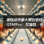 德施曼猫眼大屏智能锁Q5MPro:双猫眼、低功耗(图3) 德施曼猫眼大屏智能锁Q5MPro:双猫眼、低功耗(图3)