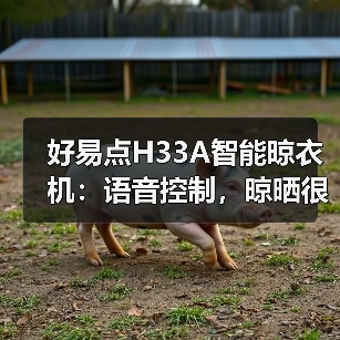 好易点H33A智能晾衣机:语音控制,晾晒很轻松(图4) 好易点H33A智能晾衣机:语音控制,晾晒很轻松(图4)