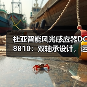 杜亚智能风光感应器DC8810:双轴承设计,运行更顺畅(图4) 杜亚智能风光感应器DC8810:双轴承设计,运行更顺畅(图4)