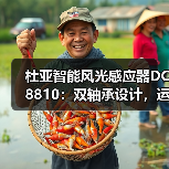 杜亚智能风光感应器DC8810:双轴承设计,运行更顺畅(图2) 杜亚智能风光感应器DC8810:双轴承设计,运行更顺畅(图2)