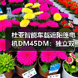 杜亚智能车载遮阳篷电机DM45DM：独立双电子控制（图3）