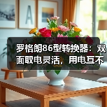 罗格朗86型转换器:双面取电灵活,用电互不干扰(图3) 罗格朗86型转换器:双面取电灵活,用电互不干扰(图3)