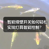 智能墙壁开关如何轻松实现灯具智能控制?(图1) 智能墙壁开关如何轻松实现灯具智能控制?(图1)