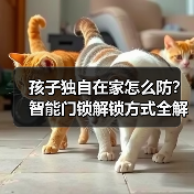 孩子独自在家怎么防?智能门锁解锁方式全解析(图2) 孩子独自在家怎么防?智能门锁解锁方式全解析(图2)