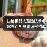 扫地机器人避障技术哪家强?AI鹰眼识别精准避障(图2) 扫地机器人避障技术哪家强?AI鹰眼识别精准避障(图2)