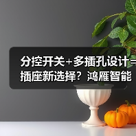分控开关+多插孔设计=插座新选择?鸿雁智能扩展式插座如何革新居家用电体验(图1) 分控开关+多插孔设计=插座新选择?鸿雁智能扩展式插座如何革新居家用电体验(图1)