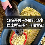 分控开关+多插孔设计=插座新选择?鸿雁智能扩展式插座如何革新居家用电体验(图4) 分控开关+多插孔设计=插座新选择?鸿雁智能扩展式插座如何革新居家用电体验(图4)