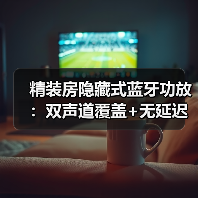 精装房隐藏式蓝牙功放:双声道覆盖+无延迟全屋音乐系统(图1) 精装房隐藏式蓝牙功放:双声道覆盖+无延迟全屋音乐系统(图1)