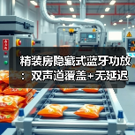 精装房隐藏式蓝牙功放:双声道覆盖+无延迟全屋音乐系统(图2) 精装房隐藏式蓝牙功放:双声道覆盖+无延迟全屋音乐系统(图2)