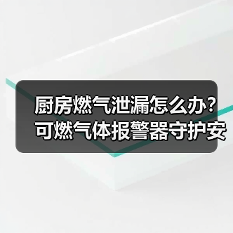 厨房燃气泄漏怎么办?可燃气体报警器守护安全(图3) 厨房燃气泄漏怎么办?可燃气体报警器守护安全(图3)