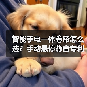 智能手电一体卷帘怎么选?手动悬停静音专利技术全解析(图1) 智能手电一体卷帘怎么选?手动悬停静音专利技术全解析(图1)