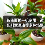 智能面板一机多用,适配别墅酒店等多种场景(图2) 智能面板一机多用,适配别墅酒店等多种场景(图2)