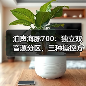 泊声海豚700:独立双音源分区,三种操控方式(图1) 泊声海豚700:独立双音源分区,三种操控方式(图1)