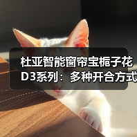 杜亚智能窗帘宝栀子花D3系列:多种开合方式,免除改造烦恼(图2) 杜亚智能窗帘宝栀子花D3系列:多种开合方式,免除改造烦恼(图2)