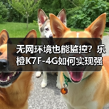 无网环境也能监控?乐橙K7F-4G如何实现强力震慑与高清记录(图3) 无网环境也能监控?乐橙K7F-4G如何实现强力震慑与高清记录(图3)