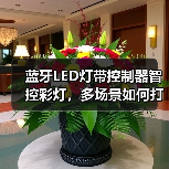 蓝牙LED灯带控制器智控彩灯,多场景如何打造?(图4) 蓝牙LED灯带控制器智控彩灯,多场景如何打造?(图4)