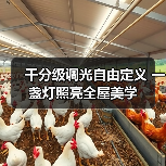 千分级调光自由定义 一盏灯照亮全屋美学(图3) 千分级调光自由定义 一盏灯照亮全屋美学(图3)