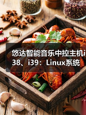 悠达智能音乐中控主机i38、i39:Linux系统,AI语音智控(图1) 悠达智能音乐中控主机i38、i39:Linux系统,AI语音智控(图1)