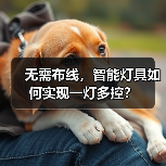 无需布线,智能灯具如何实现一灯多控?(图3) 无需布线,智能灯具如何实现一灯多控?(图3)