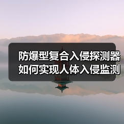 防爆型复合入侵探测器如何实现人体入侵监测精准度?(图2) 防爆型复合入侵探测器如何实现人体入侵监测精准度?(图2)