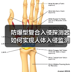 防爆型复合入侵探测器如何实现人体入侵监测精准度?(图1) 防爆型复合入侵探测器如何实现人体入侵监测精准度?(图1)