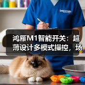 鸿雁M1智能开关:超薄设计多模式操控,场景互联更便捷(图1) 鸿雁M1智能开关:超薄设计多模式操控,场景互联更便捷(图1)
